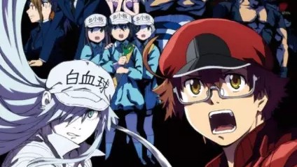 Cells at Work! CODE BLACK! English Dubbed