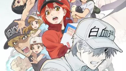 Cells at Work! Season 2 Episode 8 English Dubbed